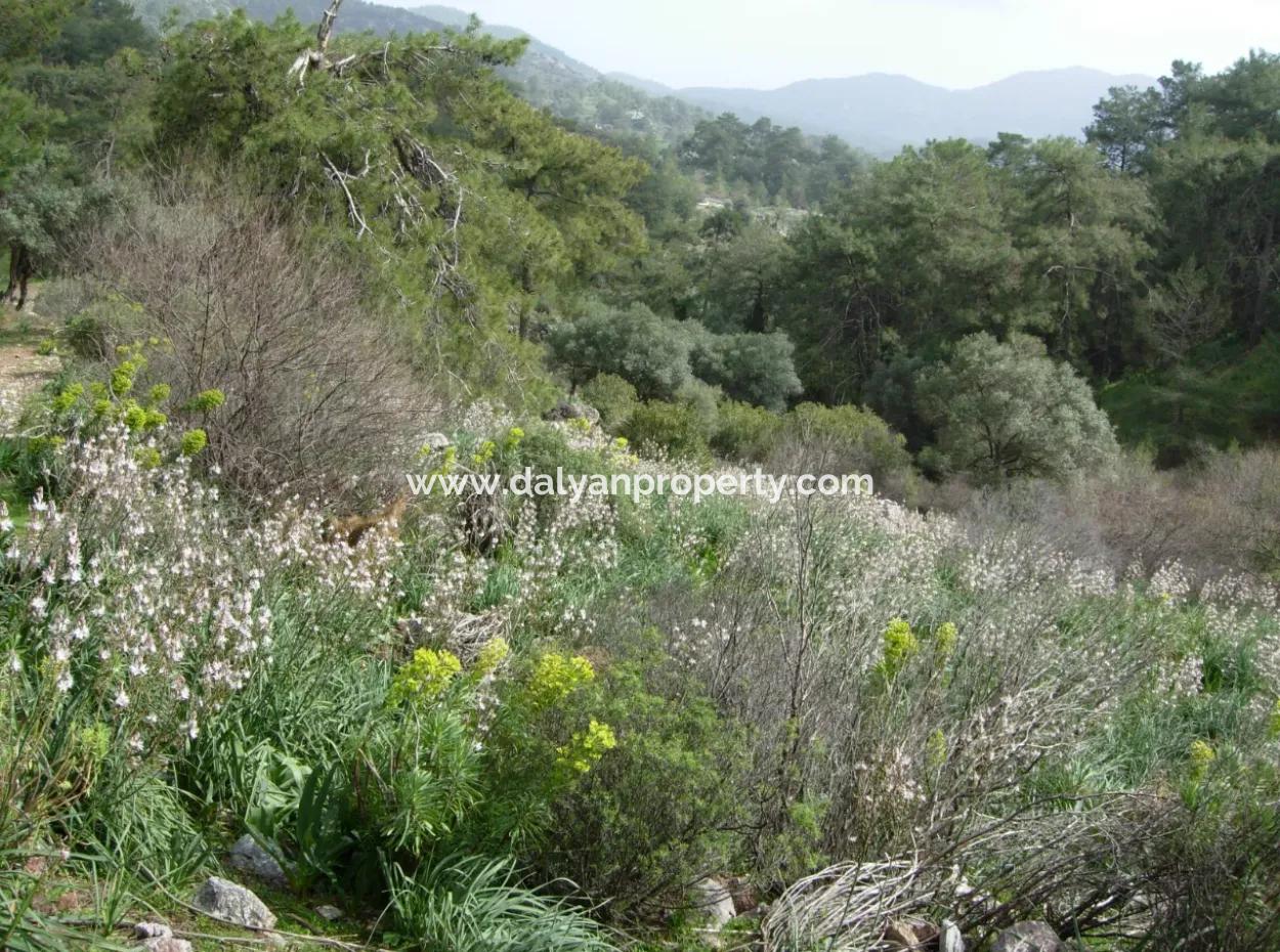 11 Hektar Land Zum Verkauf In Der Dalyan Gökbel