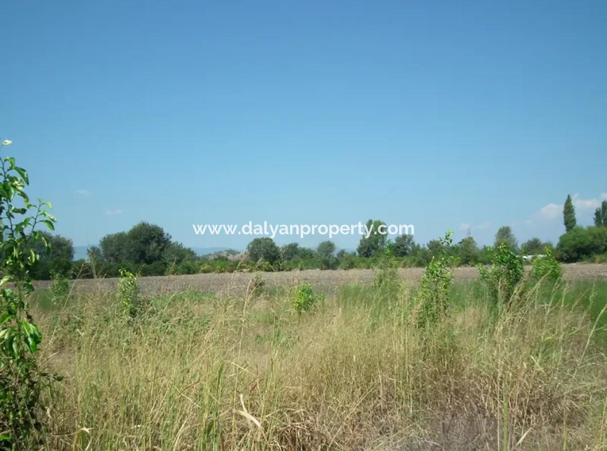 1000M2 Square Opportunity Land In Dalyan Okçular (Oka12)