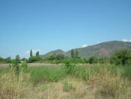 1000M2 Square Opportunity Land In Dalyan Okçular (Oka12)