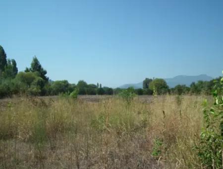 1000M2 Square Opportunity Land In Dalyan Okçular (Oka12)