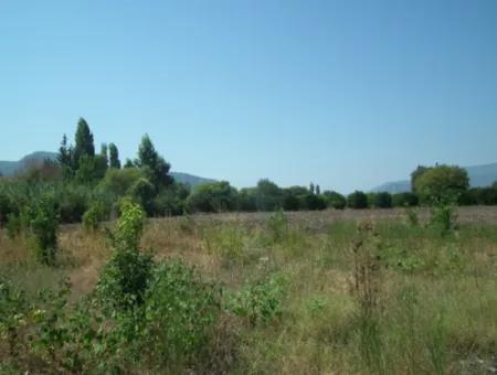 1000M2 Square Opportunity Land In Dalyan Okçular (Oka12)