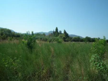 1000M2 Square Opportunity Land In Dalyan Okçular (Oka12)