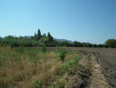 1000M2 Square Opportunity Land In Dalyan Okçular (Oka12)