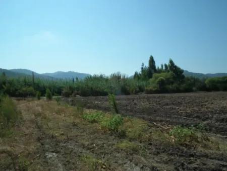 1000M2 Square Opportunity Land In Dalyan Okçular (Oka12)