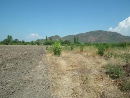 1000M2 Square Opportunity Land In Dalyan Okçular (Oka12)