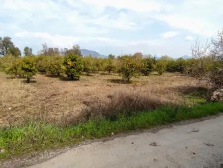 532 M2 Detached Land With Title Deed Opportunity In Dalyan Okçular (Oka03)