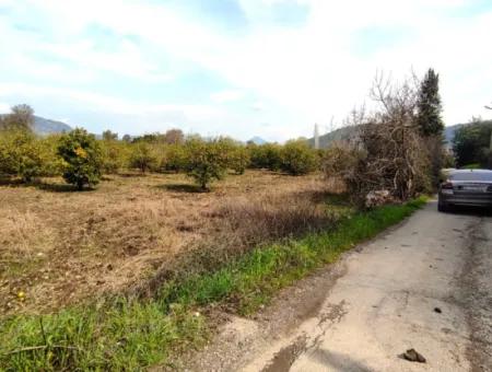 532 M2 Detached Land With Title Deed Opportunity In Dalyan Okçular (Oka03)