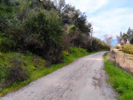 532 M2 Detached Land With Title Deed Opportunity In Dalyan Okçular (Oka03)