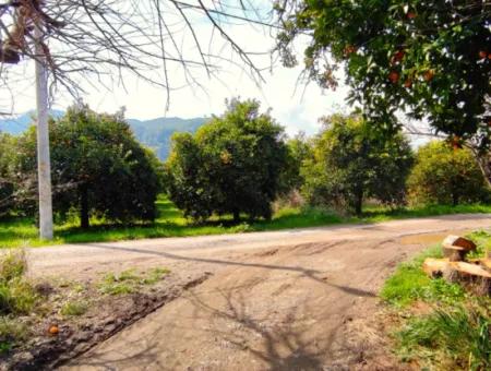 1015 M2 Detached Land With Title Deed Opportunity In Dalyan Okçular (Oka07)