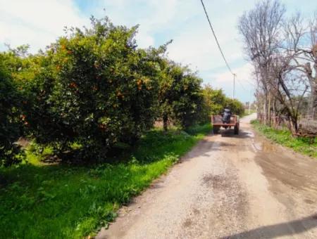 1015 M2 Detached Land With Title Deed Opportunity In Dalyan Okçular (Oka07)