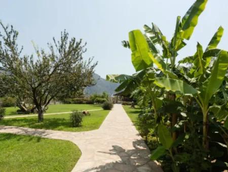 Boutique Hotel For Sale In Dalyan With High Turnover And Ready Customers (Dt17)