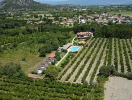 Boutique Hotel For Sale In Dalyan With High Turnover And Ready Customers (Dt17)