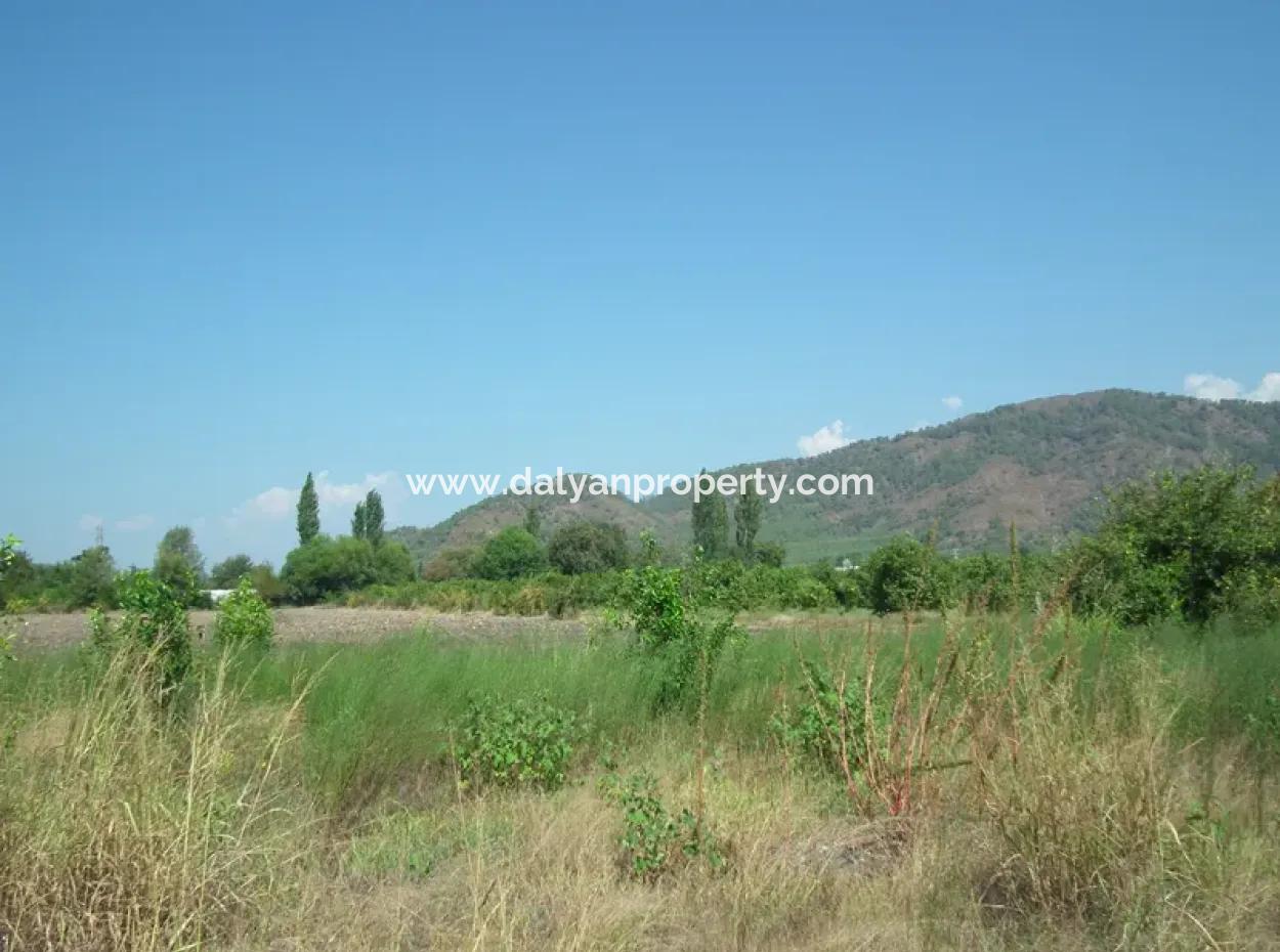 1000M2 Square Opportunity Land In Dalyan Okçular (Oka12)