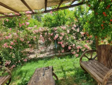 Farmhouse Located On 40 Acres Of Land In Tepearası Area (Tak01)