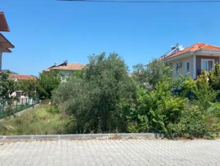 Land For Sale In Dalyan(Da39)