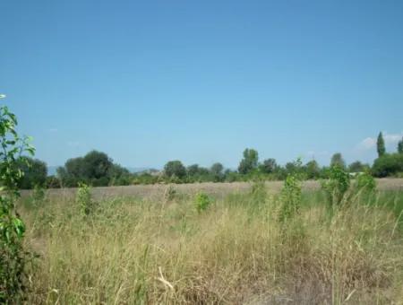 1000M2 Square Opportunity Land In Dalyan Okçular (Oka12)