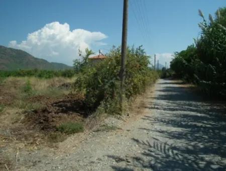 1000M2 Square Opportunity Land In Dalyan Okçular (Oka12)