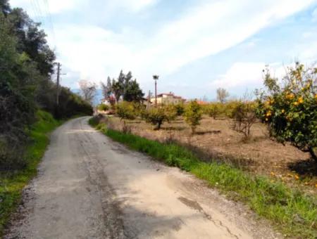 532 M2 Detached Land With Title Deed Opportunity In Dalyan Okçular (Oka03)