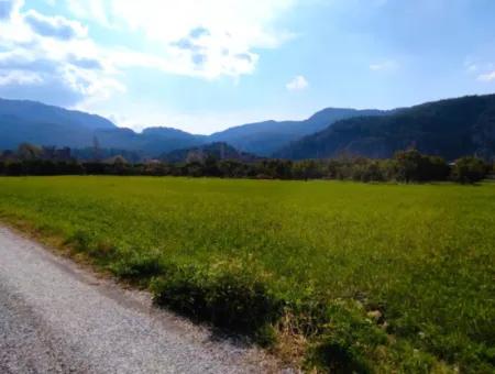 1015 M2 Detached Land With Title Deed Opportunity In Dalyan Okçular (Oka07)