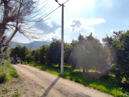 1015 M2 Detached Land With Title Deed Opportunity In Dalyan Okçular (Oka07)