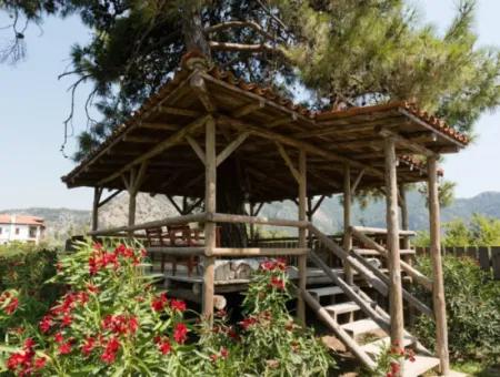 Boutique Hotel For Sale In Dalyan With High Turnover And Ready Customers (Dt17)