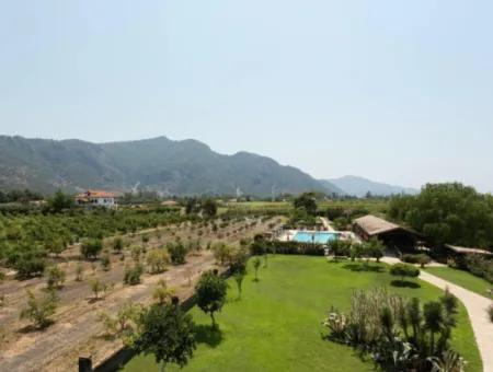 Boutique Hotel For Sale In Dalyan With High Turnover And Ready Customers (Dt17)