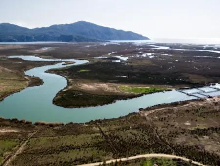 Dalyan Gökbelde Deniz,Göl Manzaralı 1300 M2 Satılık Tarla(Gka02)